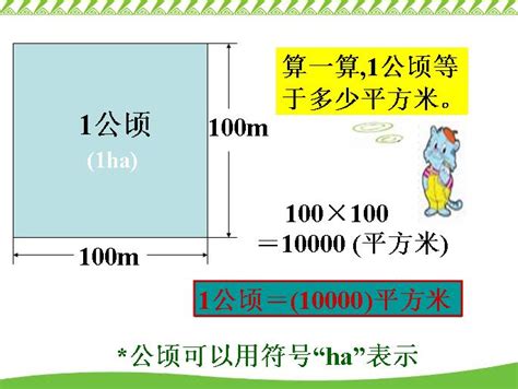 一公頃 幾甲|土地面積換算